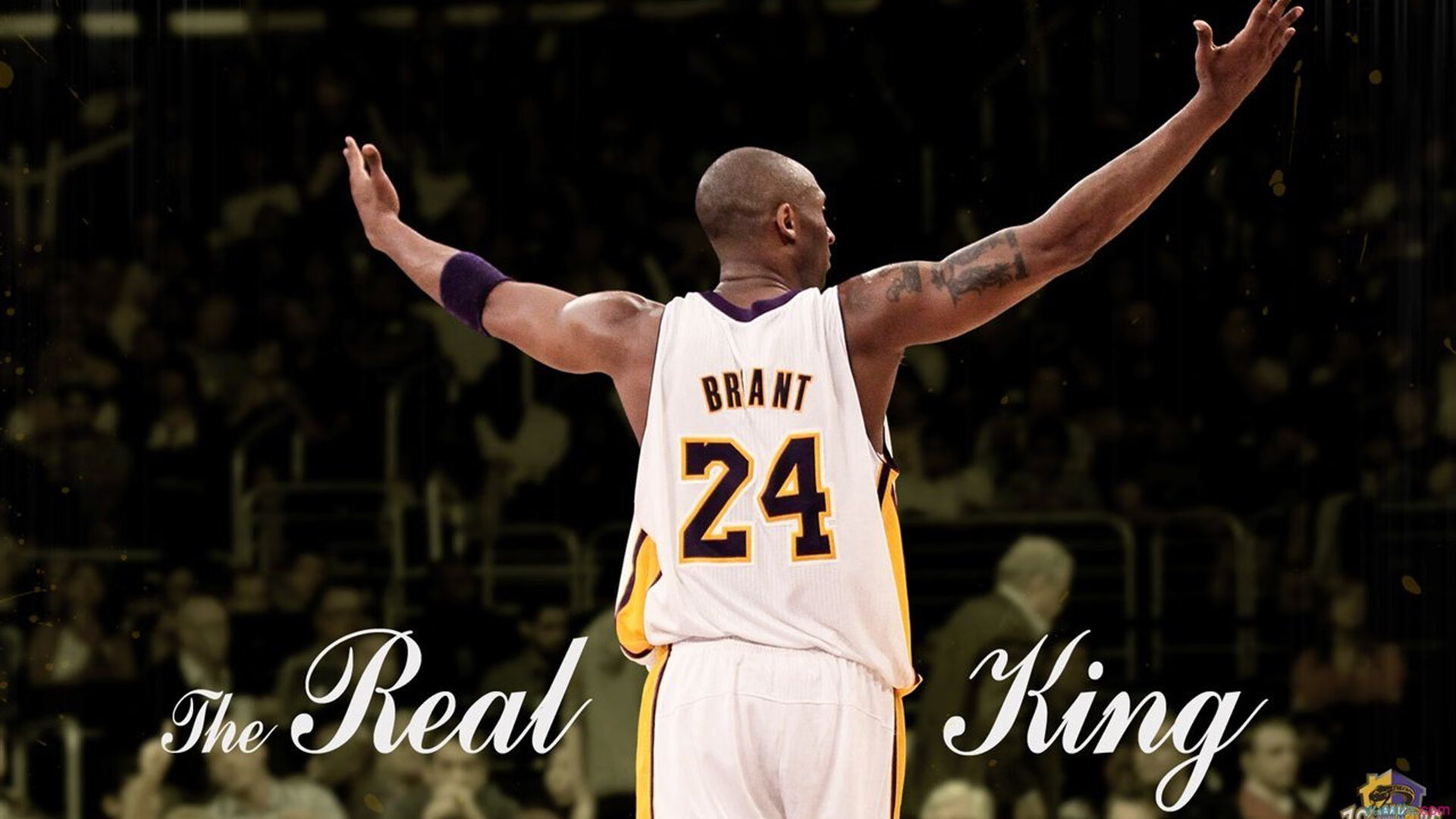 切特·霍姆格伦，当独角兽在奥兰多的雨夜苏醒